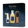Tea Tree Scalp Purifying Trial Kit