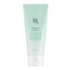 Green Plum Refreshing Cleanser 100ml