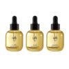 Small Garden Perfumed Hair Oil Trio Set (30ml x 3 ea)